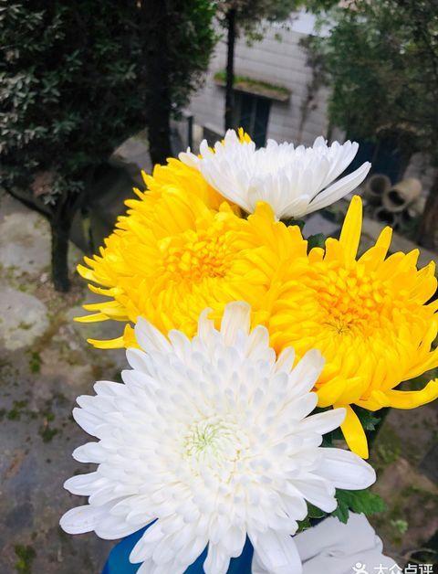 成都龙凤山公墓今年能扫墓吗_成都市新都区龙凤山公墓预约_成都龙凤山公墓