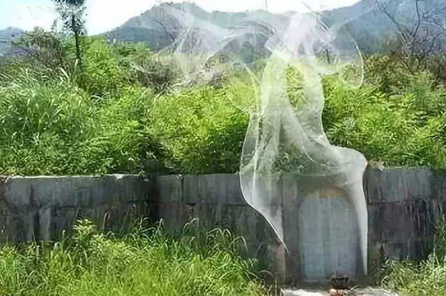 祖坟冒青烟_祖坟冒青烟典故_祖坟冒青烟是什么小说