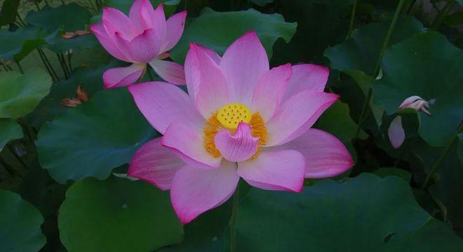 官坟村_官坟村_官坟村
