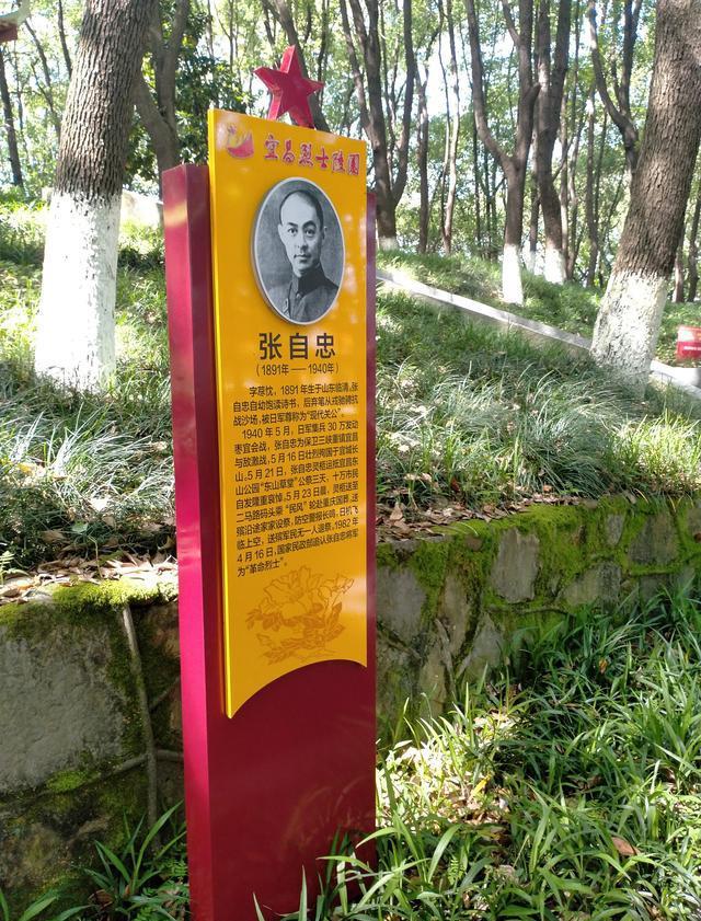 苏州东山华侨公墓_苏州华侨公墓价格_苏州东山华侨公墓杨湾墓区