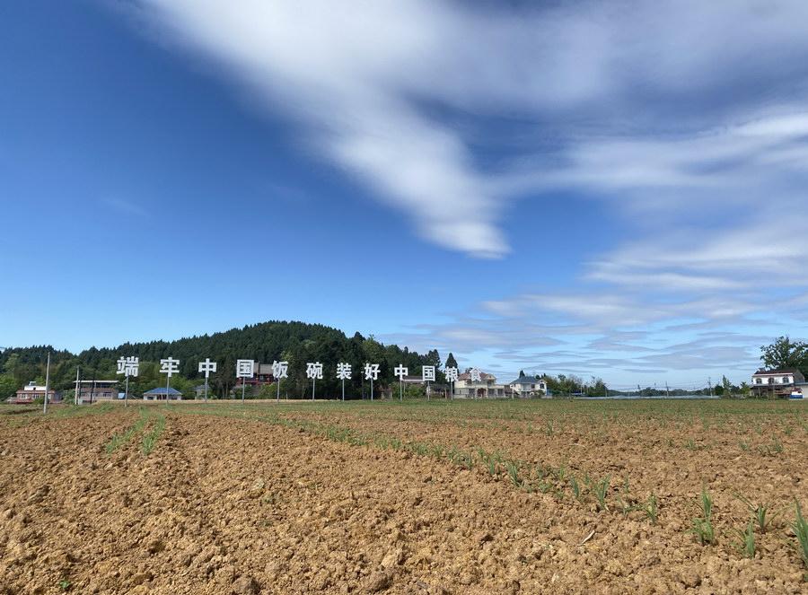 祠堂村属于哪个社区_祠堂村旧改_祠堂村
