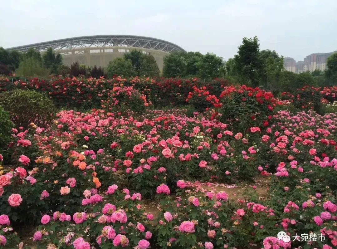 杨廷宝的建筑作品_杨廷宝故居_杨廷宝建筑代表作品集