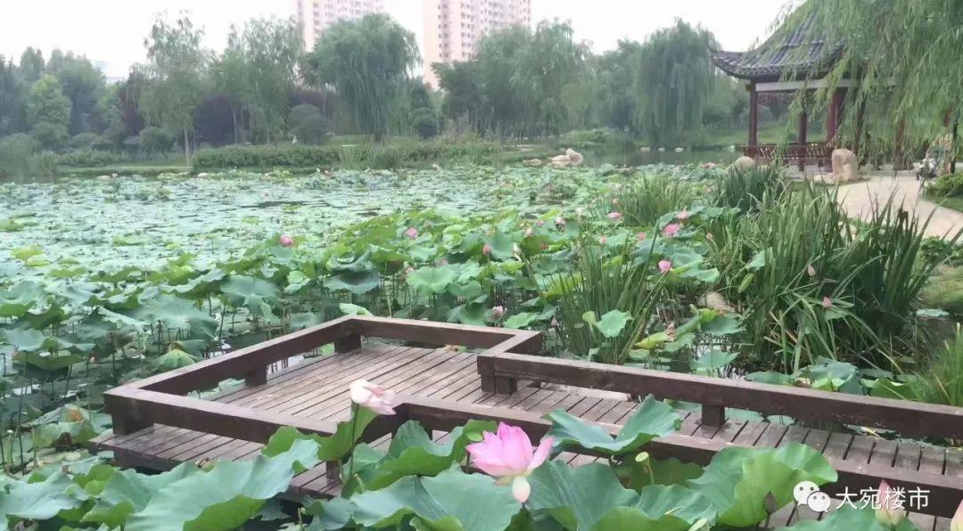 杨廷宝建筑代表作品集_杨廷宝故居_杨廷宝的建筑作品