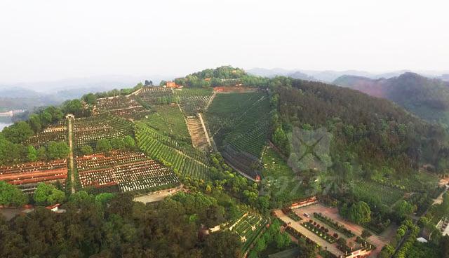 白塔山公墓价格_白塔山公墓_白塔山公墓可以上坟吗