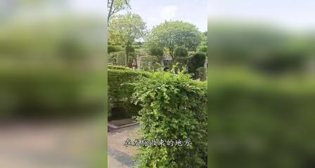白塔山公墓价格_白塔山公墓可以上坟吗_白塔山公墓
