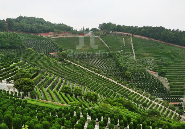 白塔山公墓_白塔山公墓可以上坟吗_白塔山公墓价格