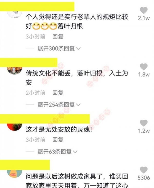 树葬政策_树葬是怎样的葬法_树葬