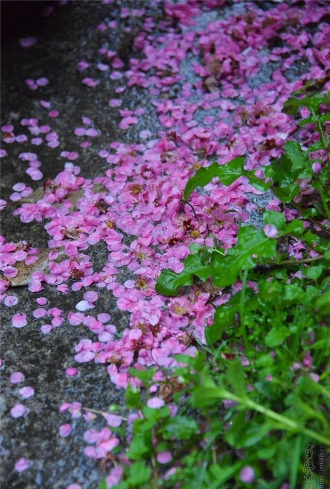 乌鲁木齐市东山公墓_乌鲁木齐东山公墓_乌鲁木齐东山公墓咨询电话