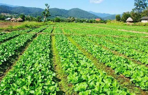 银河公墓全称_银河公墓革命历史_银河革命公墓