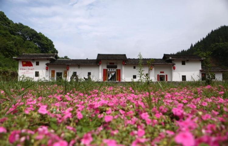 红线女墓_红线女故居_红线女旧居属于政府还是个人