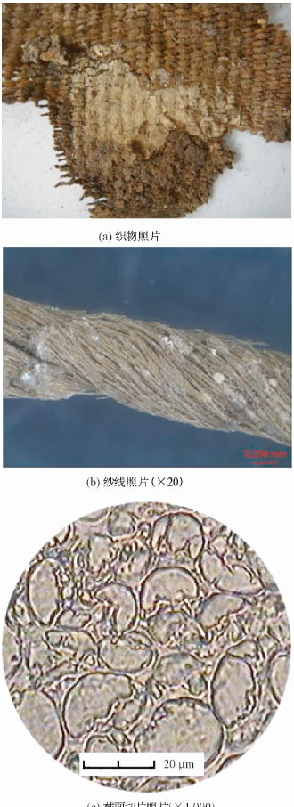 新疆罗布泊小河墓地_罗布泊小河墓地惊世再现_新疆罗布泊小河遗址