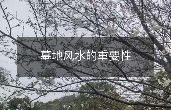 墓地风水的重要性_墓地风水重要性是什么_墓地风水重要性有哪些