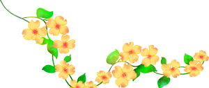 莲花山公墓_莲花山公园墓_莲花公墓2018价格表