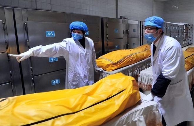 骨灰盒图案仙鹤好不好_马鹤凌骨灰_骨灰盒仙鹤图案