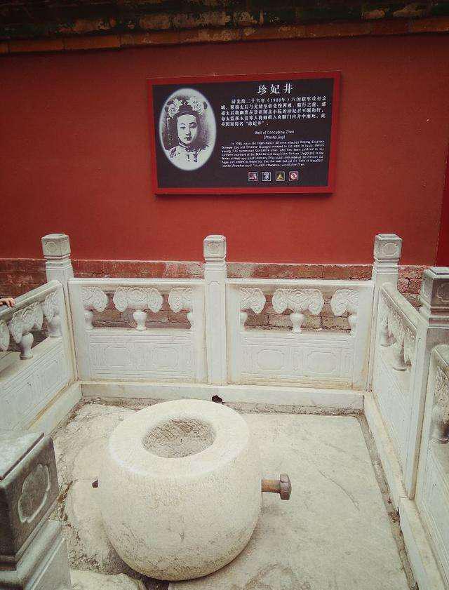 张季鸾四不_张季鸾迁葬_张季鸾夫人