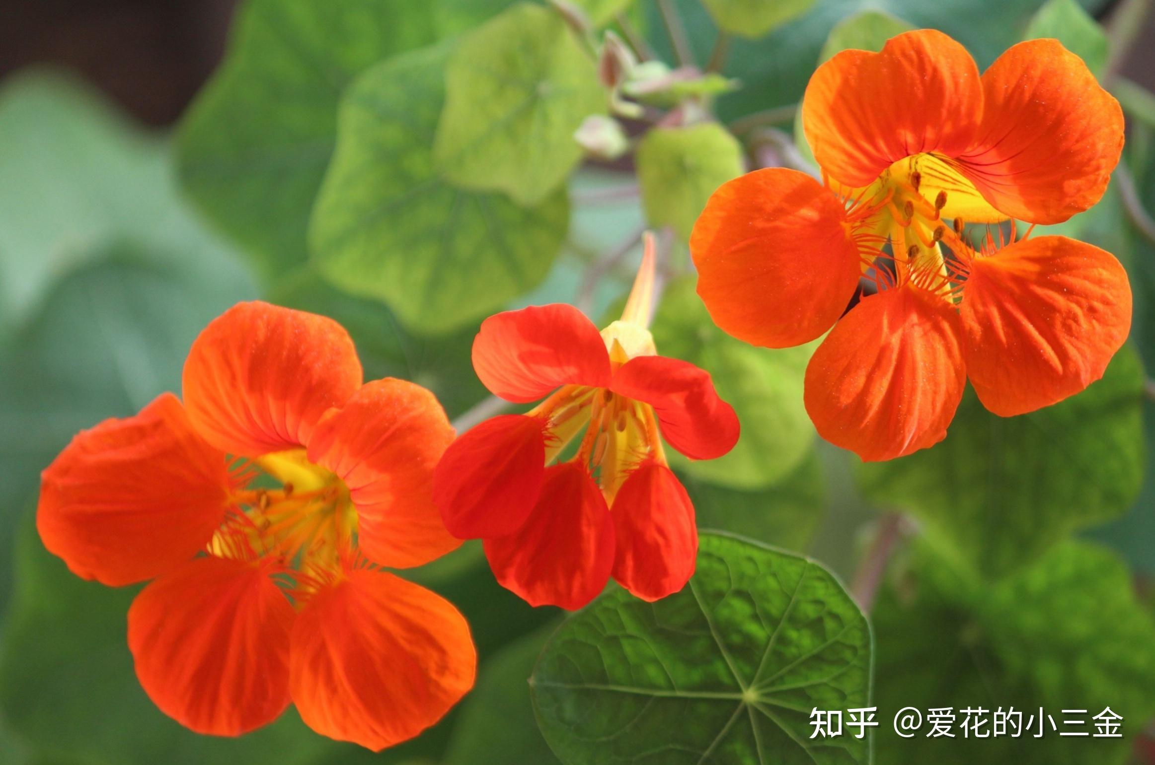翁同龢故居_翁同龢旧居_翁氏古民居