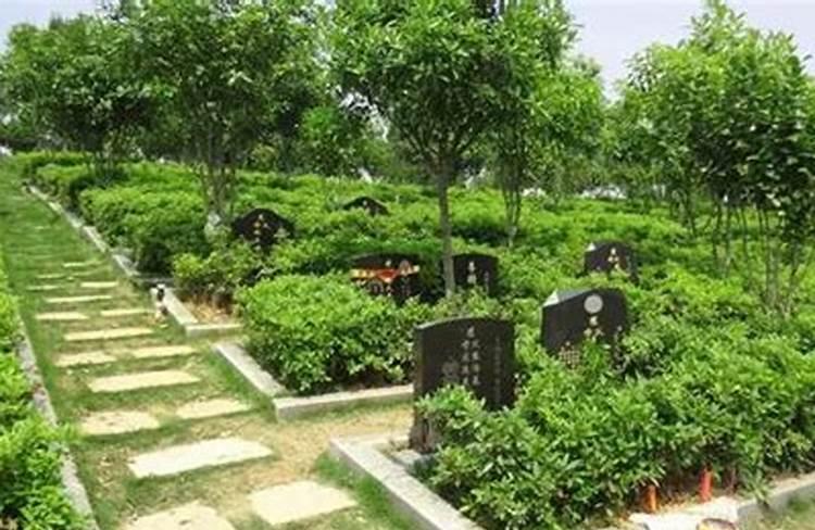 好墓地风水图解_墓地风水图片欣赏_墓地风水宝地图解