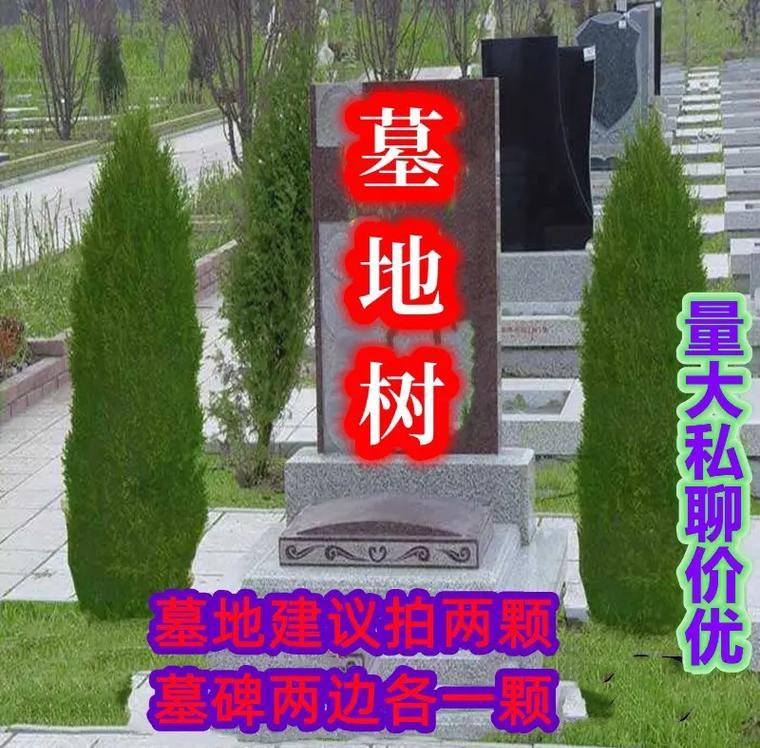网络公墓网_网络公墓_公墓平台