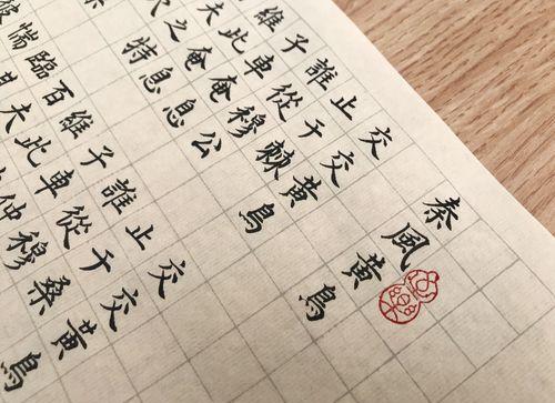 寻找尸骨_尸骨失踪之谜_尸骨寻终