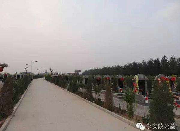 极乐园公墓资质_通州极乐园公墓管理费_永乐园公墓