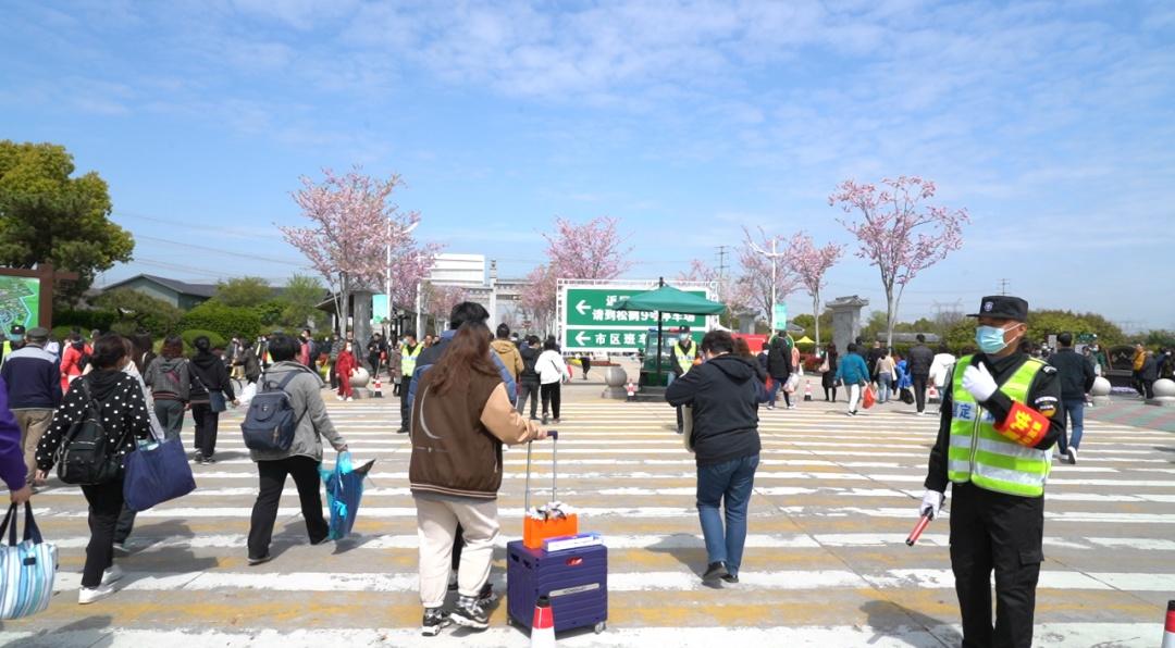 上海松鹤意昂4_上海松鹤墓价多少_上海松鹤意昂4公众号
