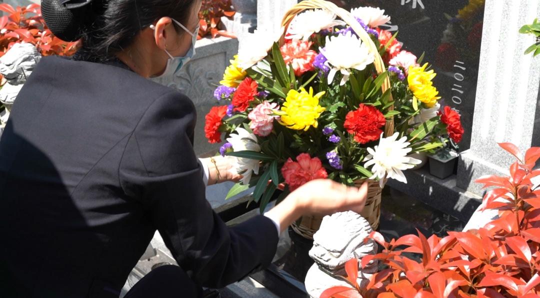 上海松鹤意昂4公众号_上海松鹤意昂4_上海松鹤墓价多少