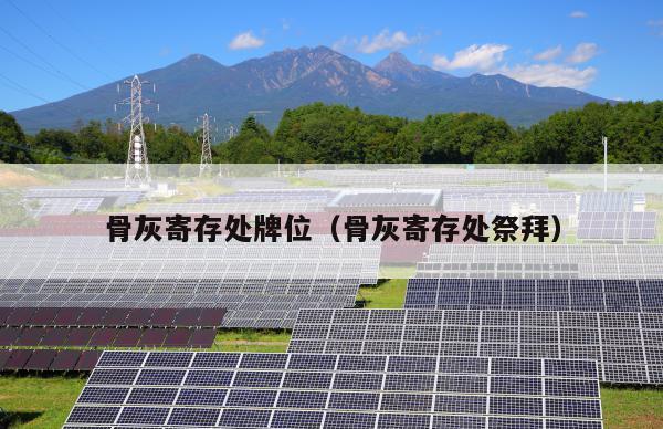 银河公墓2021_银河革命公墓_银河革命公墓开放吗