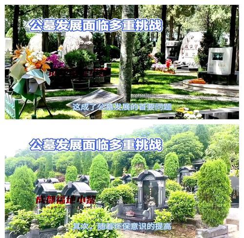 非法公墓销售_墓地暴利_公益性公墓管理